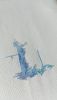 20210430_091741.thumb.jpg.1437940ad5a1cf879ec94983f39f3782.jpg