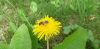 20210626_115325.thumb.jpg.8522a1da110b6b7dd30a9c7ec9ee9408.jpg