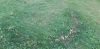 20210628_133924.thumb.jpg.bffa1a20c5e2b952555518dcdbcaa834.jpg