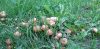 20210628_133940.thumb.jpg.85a9e378b7bafe51b109c614c41f8892.jpg