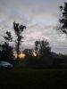 20210703_025313.thumb.jpg.ba651a0317104b7262ada97bb41b6ba7.jpg