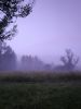 20210703_025332.thumb.jpg.5b65cf15cbadaa7fde9bea85fdb24b50.jpg