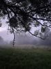 20210703_025339.thumb.jpg.32b395d2bd79f92441ad9604caf06217.jpg