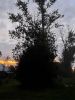 20210703_025439.thumb.jpg.d5425cee7c33c0edf104a2849cfa7450.jpg