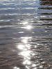 20210703_173830.thumb.jpg.dd7d7bd148da922a69ff77546536e9d0.jpg