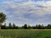 20210703_202917.thumb.jpg.d731eb850fc61be1baaa81611d7c785f.jpg