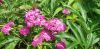 20210704_111945.thumb.jpg.63f9fba52a4316e20749d262552fcb87.jpg
