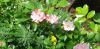 20210705_111009.thumb.jpg.0eb361752e5487d60ffdfed863349e49.jpg