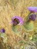 20210713_094025.thumb.jpg.ed1c7d962213e717711281cdecc144af.jpg