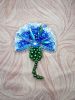 20210722_192619.thumb.jpg.cc690cf9c283db17b4a23ba383a164f1.jpg