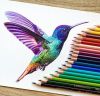 40 Color Pencil Drawings To Having You Cooing With Joy - Bored Art.jpeg.jpg