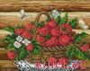 26344.thumb.jpg.dda0accdbfeefb8c33aa9961d041f2eb.jpg