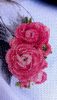 5.thumb.jpg.fdfc0252cc9e1f6f93581da510b89c3f.jpg