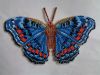 Butterfly17-4.JPG.467859c353613ba0b4c0e2a943a9cdf2.thumb.jpg.46a5b1a2e9bae636859dc931dedf07d5.jpg