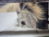 IMG_20210510_164736.thumb.jpg.f8daad2f7c556116756f1956cac08feb.jpg