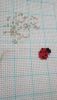 IMG_20210524_192011.thumb.jpg.41791866c102dc081700f43a0b35d726.jpg
