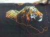 IMG_20210606_093747.thumb.jpg.54fed0bda488844373d360af34f61555.jpg