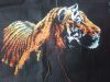IMG_20210608_074118.thumb.jpg.503a147c5a9f7e392f1fa3479a564cb3.jpg