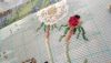 IMG_20210620_204242.thumb.jpg.feee7e4ea84bb92f0d37752d0655cfa0.jpg