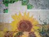 IMG_20210624_210341.thumb.jpg.579b4889188b92ef0fff8b7f4bf4018a.jpg