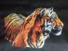 IMG_20210628_061032.thumb.jpg.dea367df46d7df4b1484e749c7c470e8.jpg