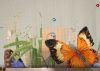 IMG_20210701_230841.thumb.jpg.03cfc77db7fe3bb975cb1c0b165a23f6.jpg