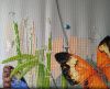 IMG_20210703_102542.thumb.jpg.d6d15bd58723b532c359ee5362f4f333.jpg