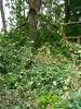 IMG_20210703_134512.thumb.jpg.eb1e8a5c782ea5d87a246934dadf7456.jpg