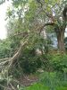 IMG_20210703_140042.thumb.jpg.fc7b558bdf25f72ee15b43a7a2dc4837.jpg