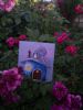 IMG_20210708_204039.thumb.jpg.72f503cbc2ba3ec63b8f1fa624b98b2e.jpg
