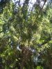 IMG_20210712_124340.thumb.jpg.9ff68e3232048d81700d902110d122dc.jpg
