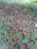 IMG_20210712_124405.thumb.jpg.4537a881cc6dd641d9bae7c34cb58d1b.jpg