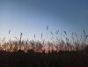 IMG_20210712_212859.thumb.jpg.e53ecde8f346cbb884f13172b8721375.jpg