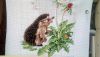 IMG_20210715_130832.thumb.jpg.a1af7128b416d375bac6beb1c56ef637.jpg
