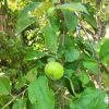 IMG_20210717_103928.thumb.jpg.2dde9f5db0db2cc16b8b769f37461cb6.jpg