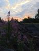 IMG_20210717_202638.thumb.jpg.7ba5b6e6ffaed1b6777de19f9a1cf8d3.jpg