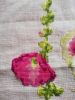 IMG_20210720_072641.thumb.jpg.ad044b98e67fa531c94c0abc789f49bb.jpg