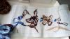 IMG_20210721_143716.thumb.jpg.f23ec32784a9c8a68a5050388dadf904.jpg