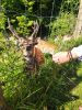 IMG_20210725_172740.thumb.jpg.8806509a47351d566ab36be9036cccf9.jpg