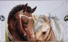 IMG_21.thumb.jpg.1d8ff39acb40b1a390d4bc340ecbc8ed.jpg