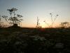 P1030039.thumb.JPG.8f645bcb98976b5ae700df84a8b3aa81.JPG