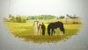 P_20210506_001152_1_p.thumb.jpg.07d9209de53b4af0cdcd81e0b325c68e.jpg