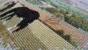 P_20210708_101000.thumb.jpg.5eea18c18b72546b428a7c32a9951fc3.jpg