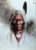 Janlynn 01151-5848, Portrait de Sagesse
