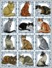 je-dw2464-cats-by-the-dozen.thumb.jpg.f9a4c33fd195a8030607146e93b28d01.jpg