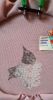 skGPDnBfvFc.thumb.jpg.08ee293d50b0053ac96c875200fa9237.jpg