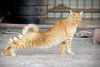 stretch.jpg.f6c2431d8c9480c5413fb8c9f2321337.thumb.jpg.25cd7f3bd35b55e78dedb530e220e599.jpg