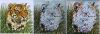 upload_2021_07_06_08_45_21_940.thumb.jpg.c558ef21745b2e0296c9adc00563c8f7.jpg