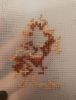 1.thumb.jpg.28fc4aa0a5a51c39e8252d4fd1570806.jpg