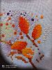 1142945527_1630418970889(1).thumb.jpg.33793236a9c36add2be09f9bc22ed777.jpg